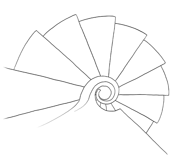 Illustrazione Casa Marostica_pane vino architettura