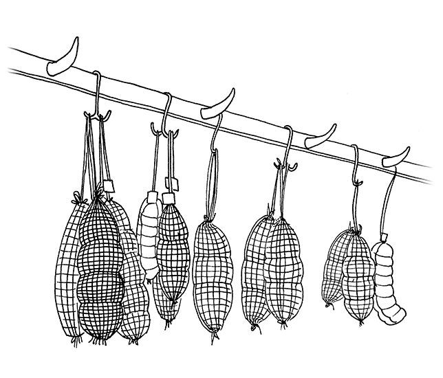 Illustrazione Macelleria Ronzani_pane vino architettura